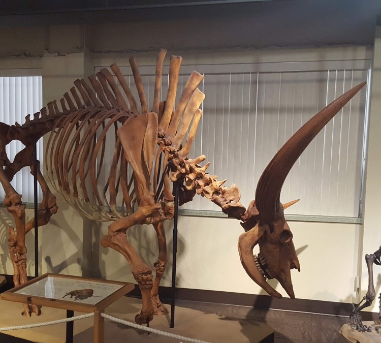 Idaho Museum of Natural History (Pocatello,&nbspID)